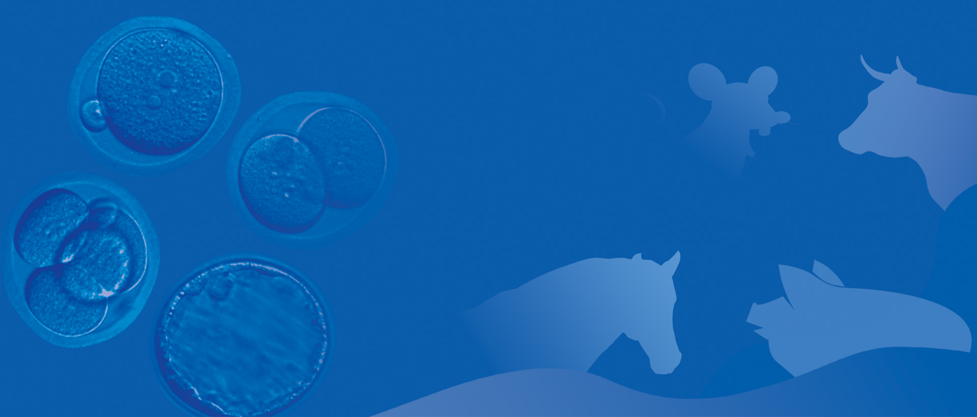 Innovating Animal Science
for Healthier Futures