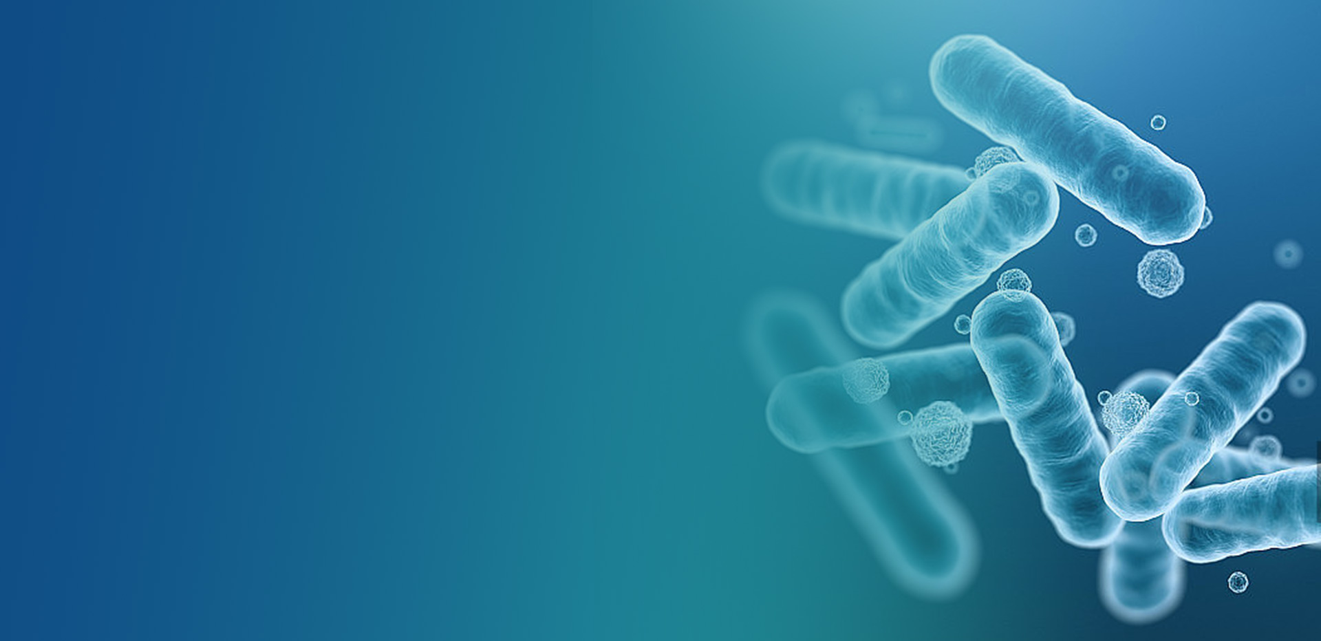 Cell  Biology