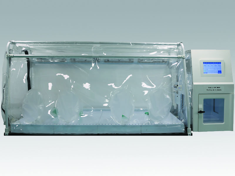 Vinyl Hypoxic Workstation