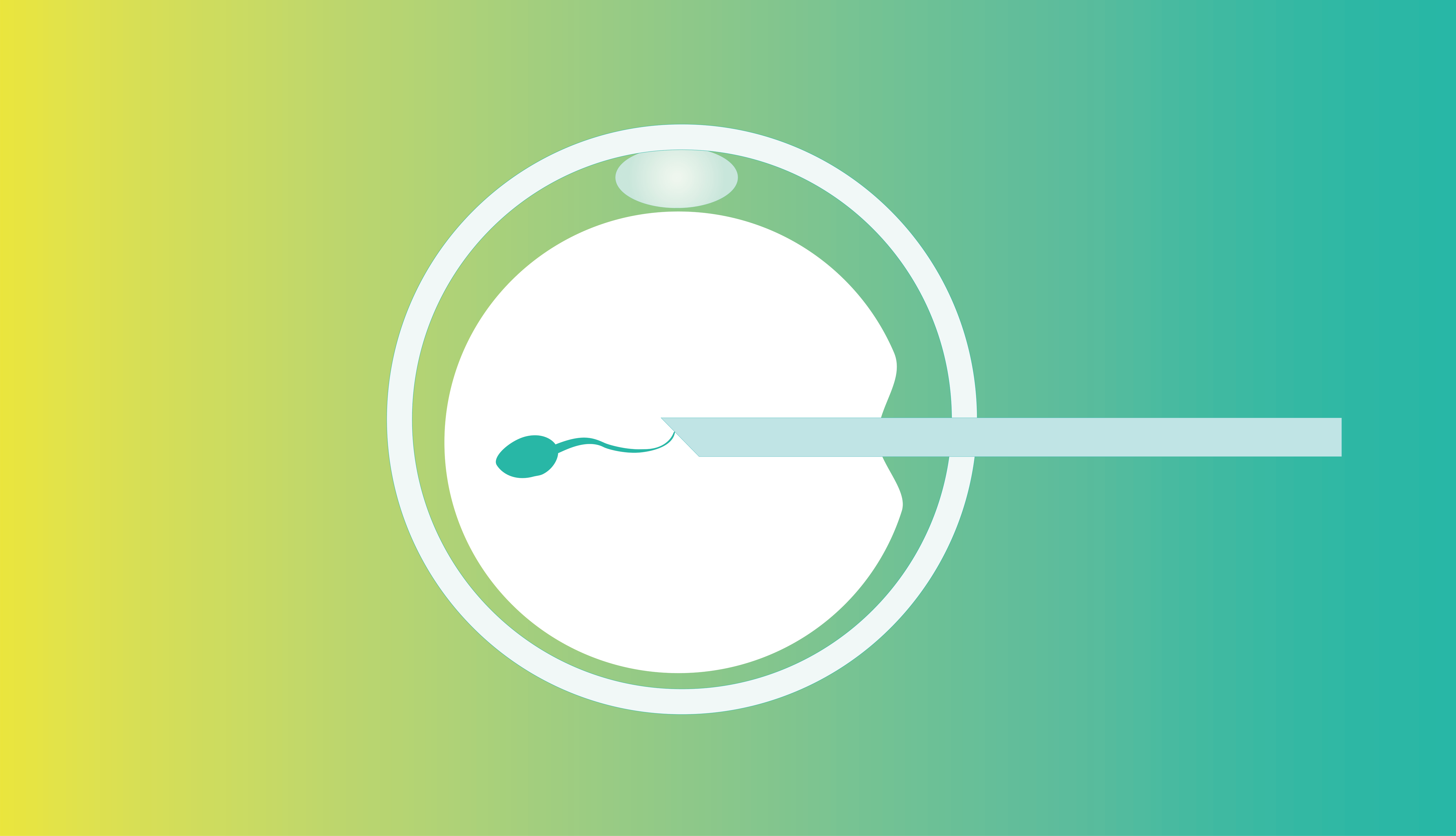 Intracytoplasmic Sperm Injection (ICSI)