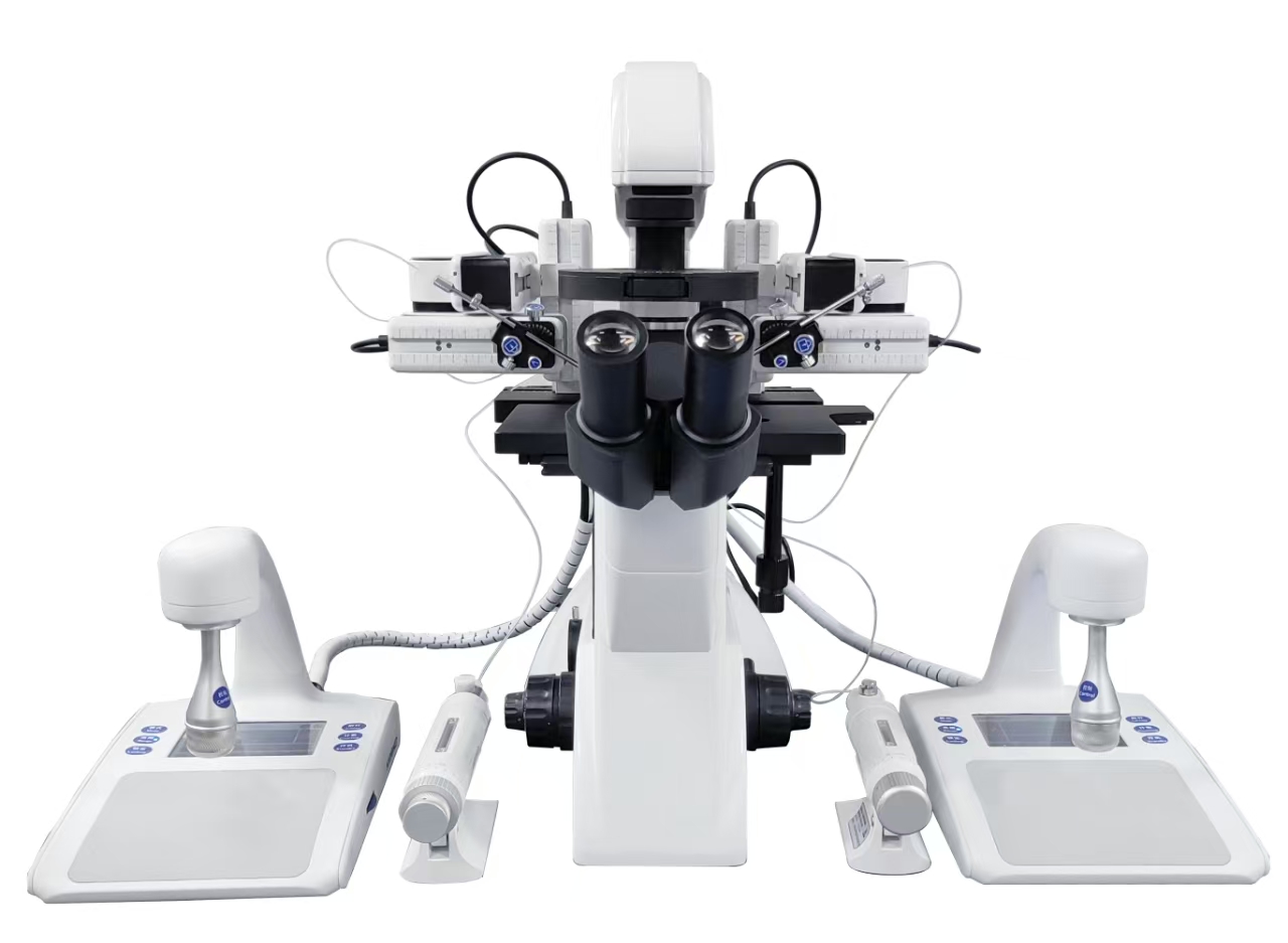 Micromanipulation System