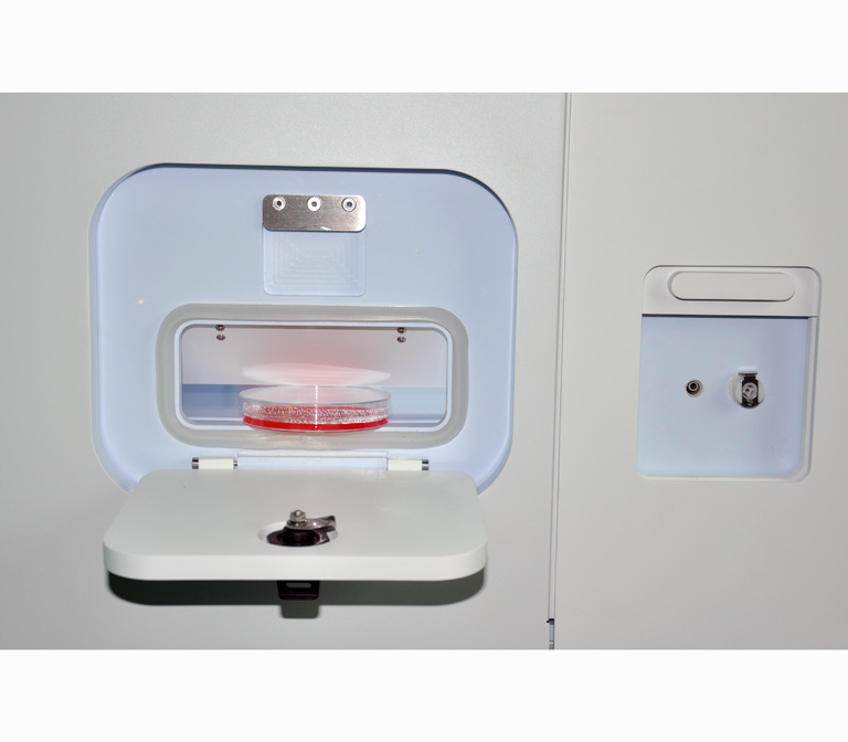 single entry system